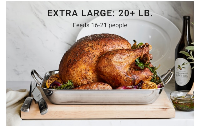 Extra Large: 20+ lb. Feeds 16-21 people