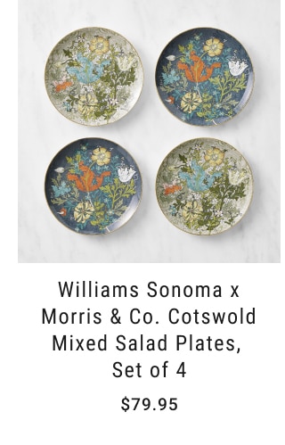 Williams Sonoma x Morris & Co. Cotswold Mixed Salad Plates, Set of 4 - $79.95