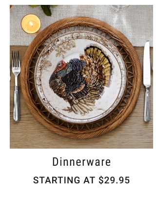 Dinnerware Starting at $29.95