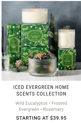 Iced Evergreen Home Scents Collection Starting at $39.95