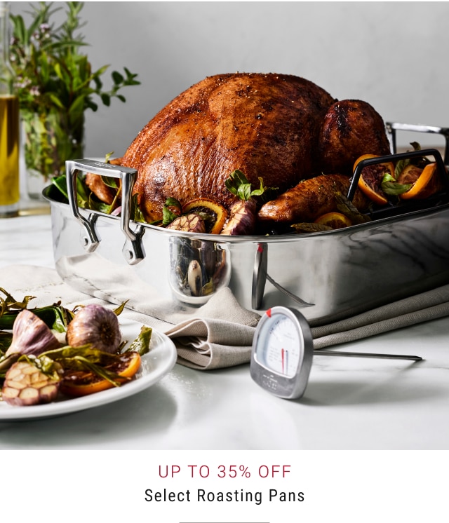 Up to 35% off Select Roasting Pans