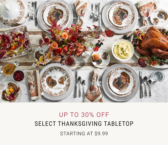 Up to 30% Off Select Thanksgiving Tabletop Starting at $9.99