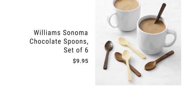 Williams Sonoma Chocolate Spoons, Set of 6 - $9.95