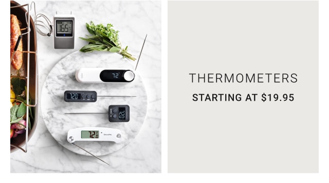 thermometers - starting at $19.95 - now $199.95