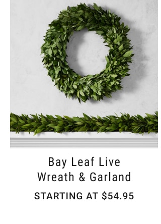 Bay Leaf Live Wreath & Garland - Starting at $54.95