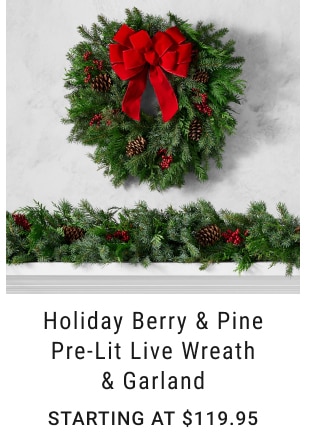 Holiday Berry & Pine Pre-Lit Live Wreath & Garland - Starting at $119.95