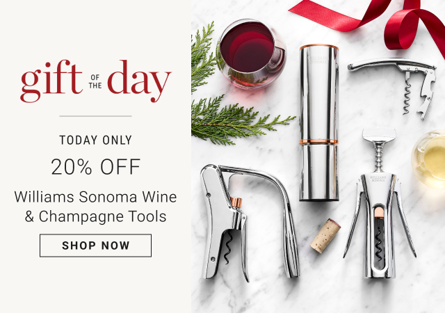 Gift OF THE Day - TODAY ONLY - 20% OFF Williams Sonoma Wine & Champagne Tools - Shop Now