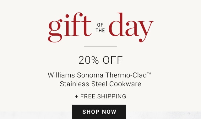 Gift of the Day - 20% Off Williams Sonoma Thermo-Clad™ Stainless-Steel Cookware + Free Shipping - Shop Now