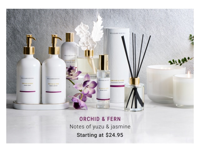 Orchid & Fern Starting at $24.95