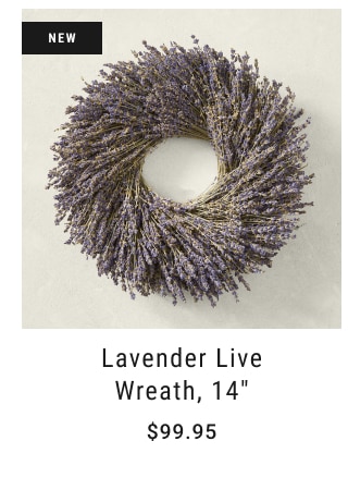 Lavender Live Wreath, 14" $99.95