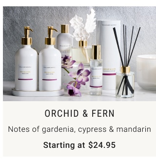 Orchid & Fern Starting at $24.95