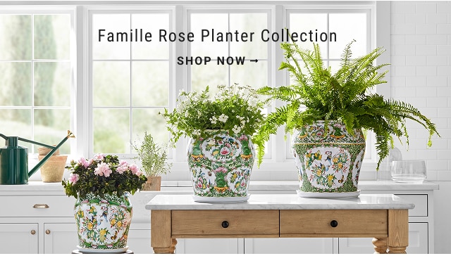 Famille Rose Planter Collection - SHOP NOW