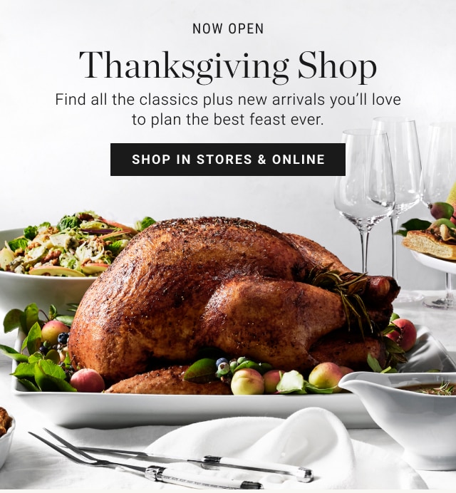 NOW OPEN Thanksgiving Shop - shop in stores & online