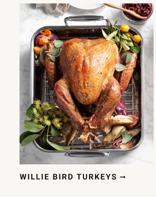 WILLIE BIRD TURKEYS