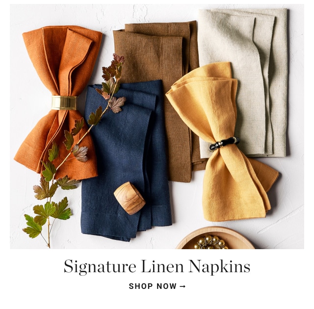 Signature Linen Napkins shop now