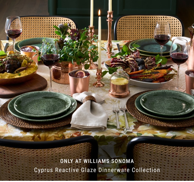 only at Williams Sonoma - Cyprus Reactive Glaze Dinnerware Collection