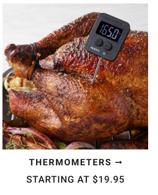 Thermometers Starting at $19.95