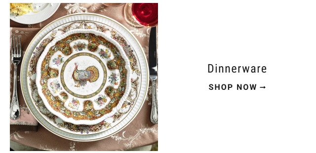 dinnerware shop now