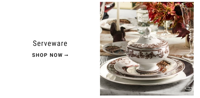 serveware shop now