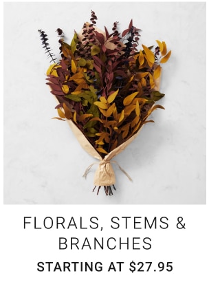 Florals, Stems & Branches Starting at $27.95