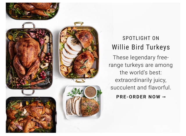 Spotlight on Willie bird turkeys pre-order now