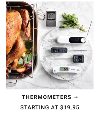 Thermometers Starting at $19.95