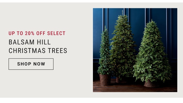 Up to 20% Off Select - Balsam Hill Christmas Trees - shop now