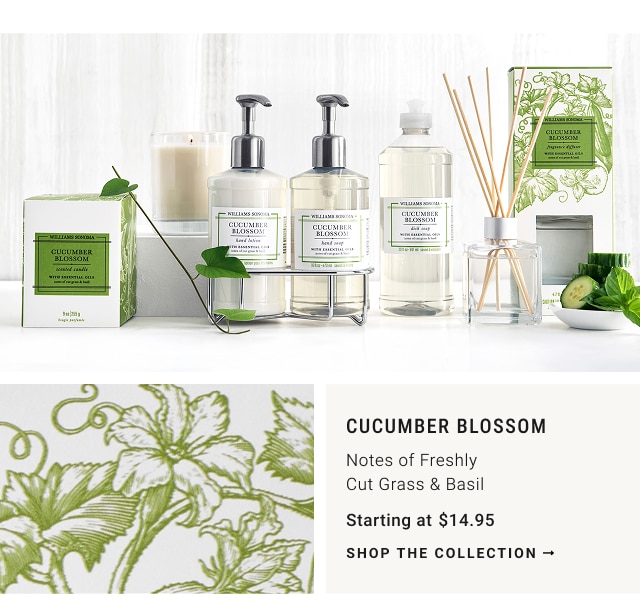 Cucumber Blossom - Notes of Freshly Cut Grass & Basil Starting at $14.95 - shop the collection