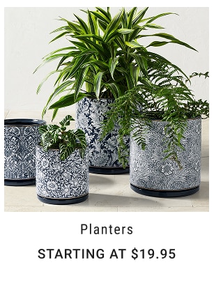 Planters Starting at $19.95
