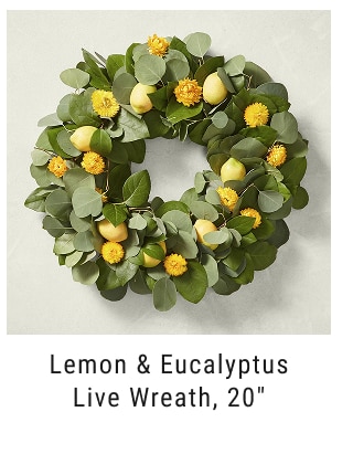 Lemon & Eucalyptus Live Wreath, 20