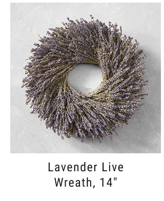 Lavender Live Wreath, 14”