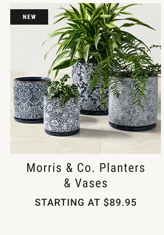 Morris & Co. Planters & Vases Starting at $89.95