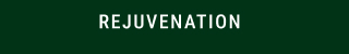 rejuvenation