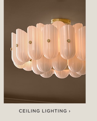 Ceiling lighting